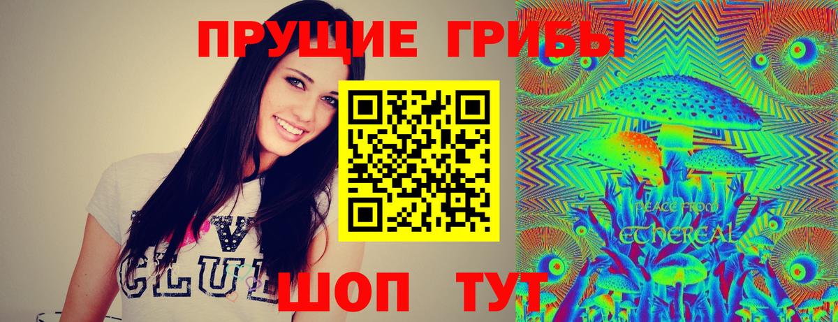 Бошки Шишки Архангельск