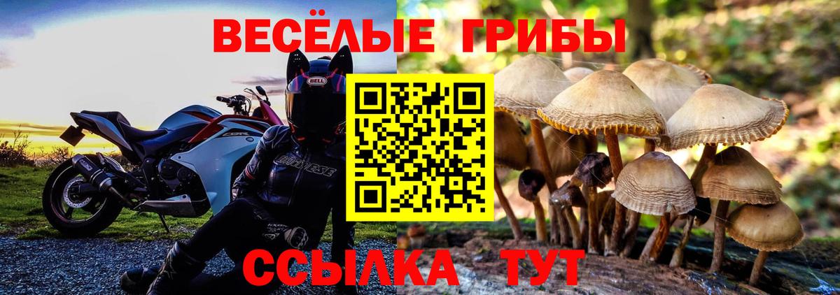 Галлюциногенные грибы мухоморы  Вход с VPN  купить наркотик  Архангельск 