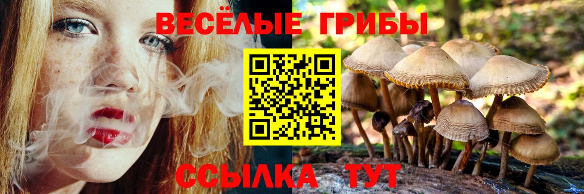 Метадон  Архангельск  МДМА  Продажа наркотиков  Вход с VPN  Гашиш  Меф кристаллы 